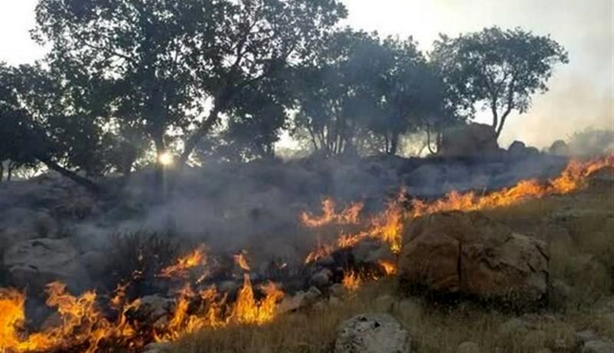 زنگ خطر آتش‌سوزی در جنگل‌های گلستان؛ چه خبر است؟