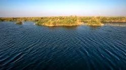 انتشار دود از ۲۵ هزار هکتار از تالاب هورالعظیم