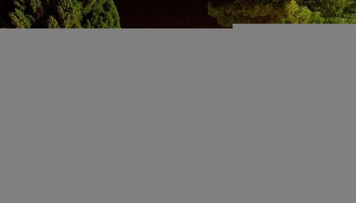 فال حافظ امروز چهارشنبه 4 شهریور ماه 1405