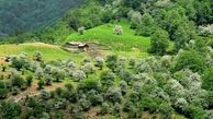 کجا بریم برای سفر دو روزه به شمال؟; بهترین پیشنهادها از جنگل تا آبشار