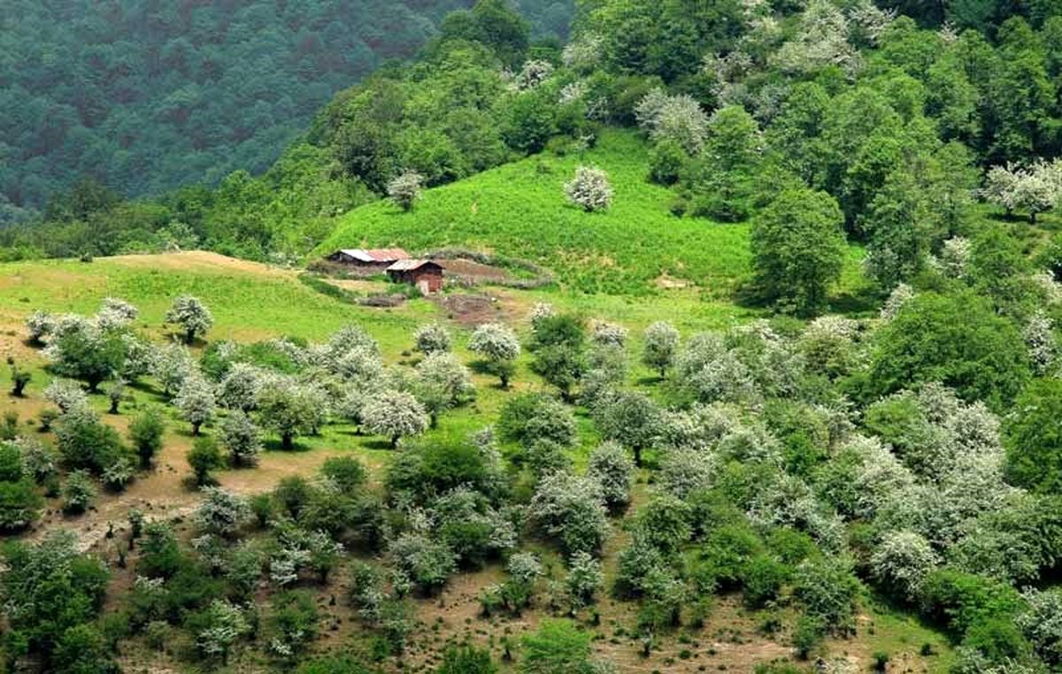 کجا بریم برای سفر دو روزه به شمال؟; بهترین پیشنهادها از جنگل تا آبشار