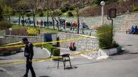 حمله مرگبار به زوج جوان در پارک نهج‌البلاغه