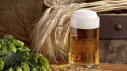 یک باور غلط درباره مصرف ماءالشعیر