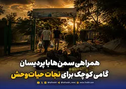 همراهی سمن‌ها با پردیسان