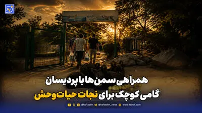 از هلیا و ۵ توله‌اش چه خبر؟