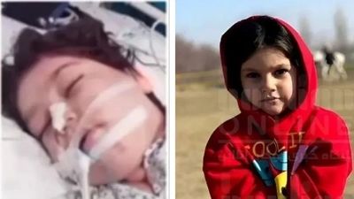 ضربه کشنده در تاریکی باغ انگوری
