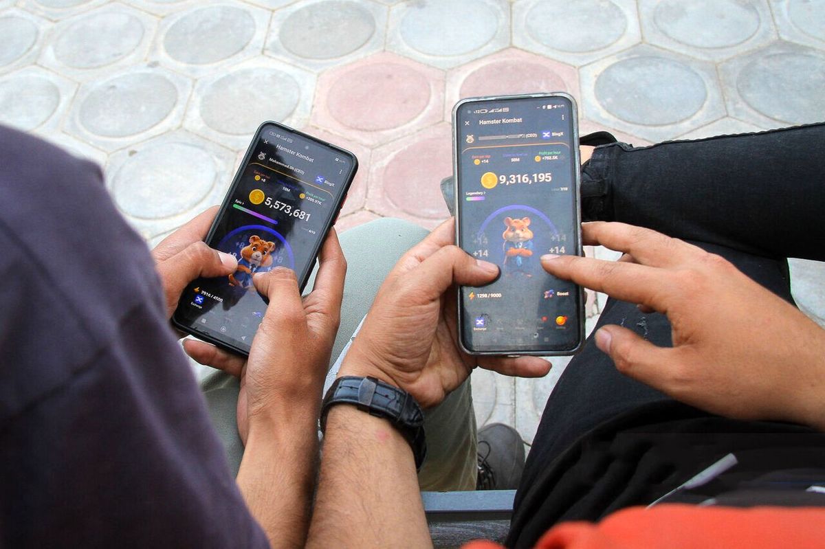 برنامههای همستر کامبت برای سال ۲۰۲۵