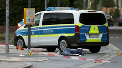 قتل مرد ایرانی در آلمان، پیروزی ‌پوریا امیرشاهی در فرانسه