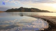 راز شگفت‌انگیز جزایر زنده در دریاچه نمک یوتا