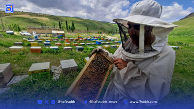 باج‌خواهی تعاونی‌ها از بانک‌ها