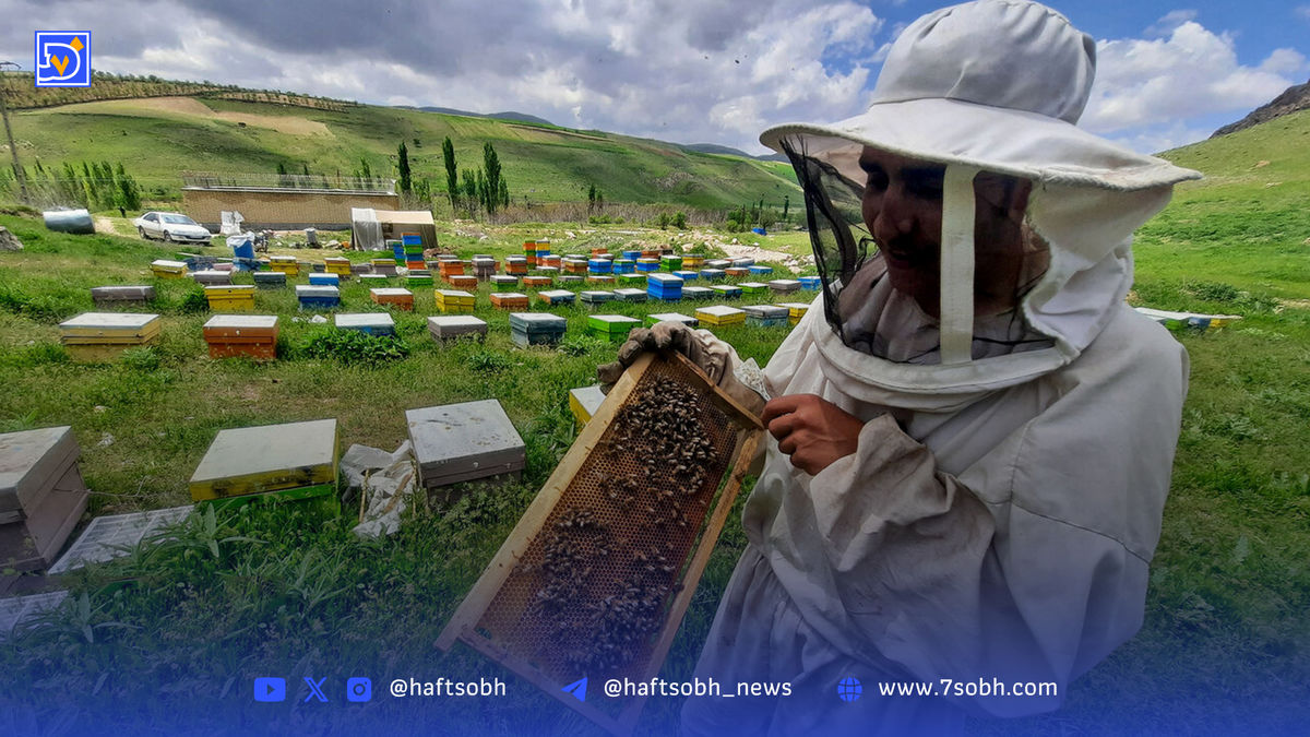 فرصتهای توسعه اقتصادی صنعت عسل