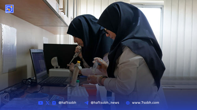 قهر زنان و افول بازار کار