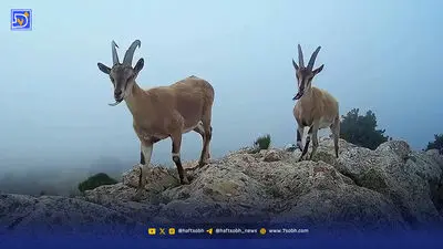 دعوای ۱۵ ساله برای هشت هکتار زمین ملی