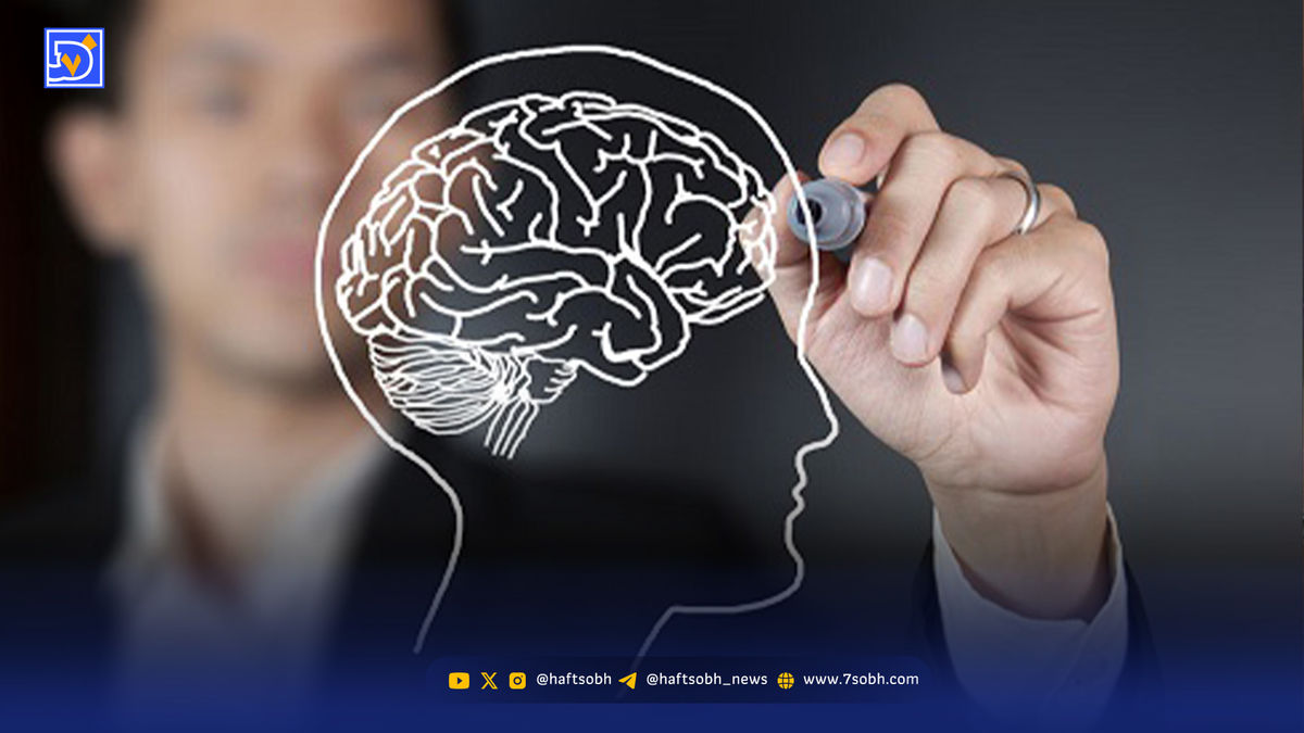 دستورالعملی ساده برای تقویت حافظه و تمرکز روزانه
