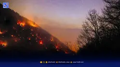 نیاز فوری جنگل های هیرکانی به بارش