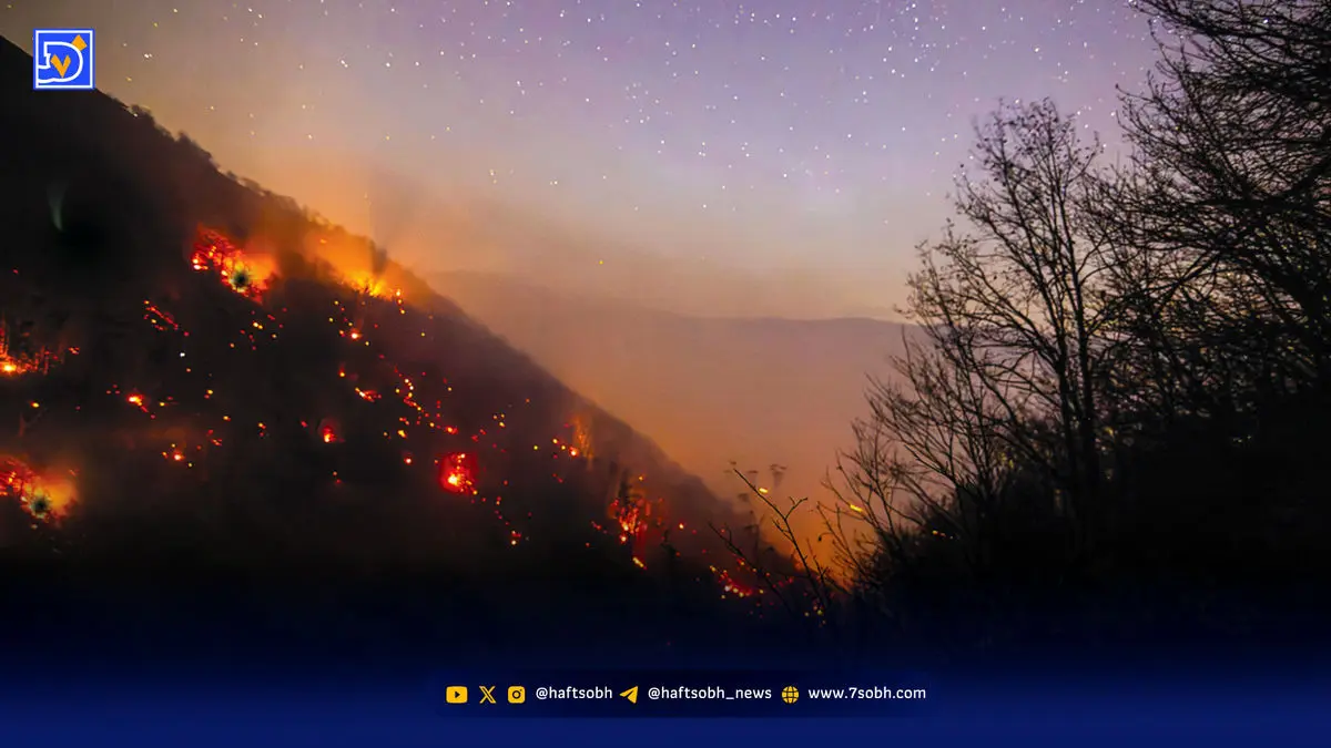 سریال ادامه‌دار حریق در جنگل‌های ایران