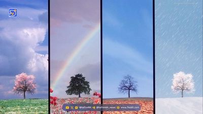 دستگاه ۴۰ گرمی، جاذبه زمین را به چالش کشید