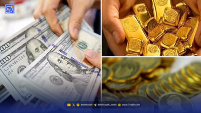 سرقت ۷۳ گرم طلا ،خانم نظافتچی را راهی زندان کرد