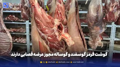 گوشت قرمز گوسفند و گوساله مجوز عرضه قصابی دارند 


