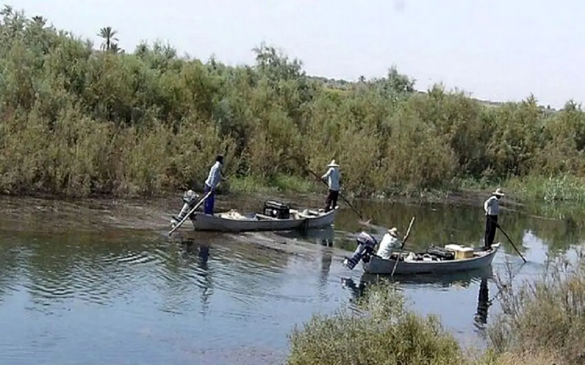 تماشا کنید | ماهیگیری با برق در خوزستان به اوج خود رسید