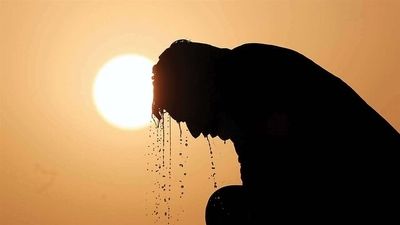 مصرف روزانه این خوراکی‌ها برای سلامت قلب مفیدند