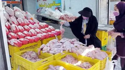 آخرین قیمت مرغ امروز سه‌شنبه ۲۸ مهر ۱۴۰۵ / یک کیلو چند؟