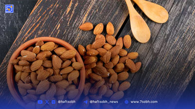 واقعیت‌های علمی درباره ماچا؛ نوشیدنی پرطرفدار این روزها