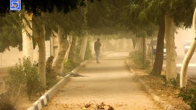 
وزش باد و خیزش گرد و خاک در تهران
