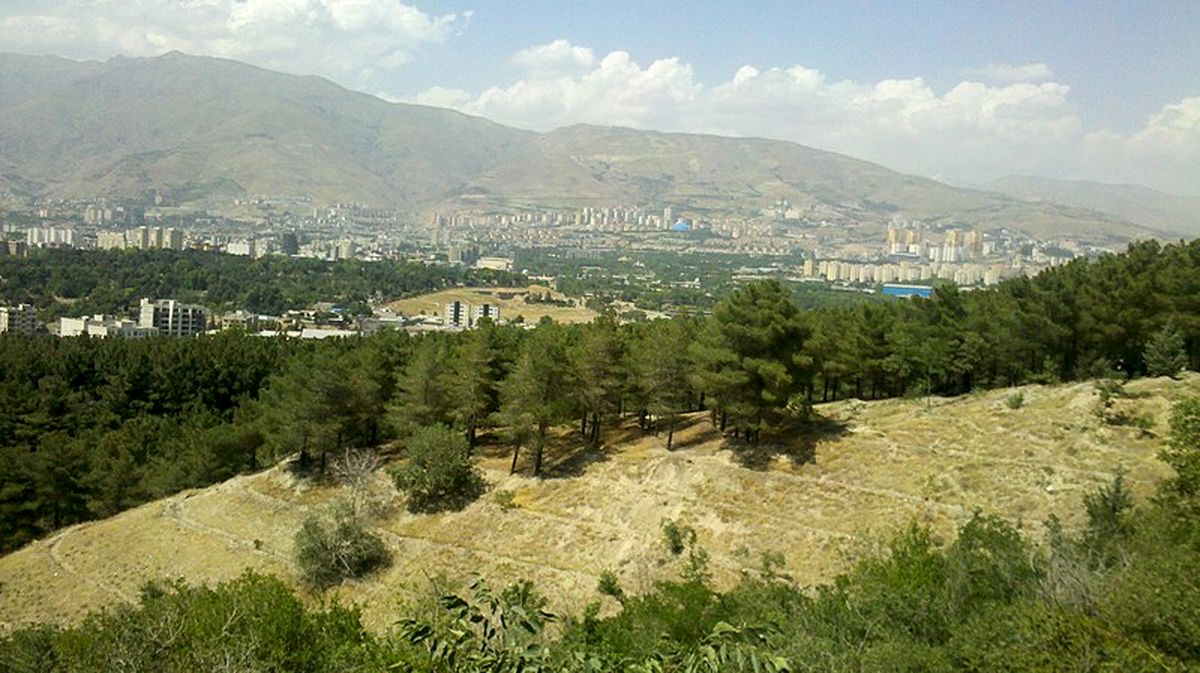 ساخت هتل ۲۵ طبقه در پارک جنگلی لویزان