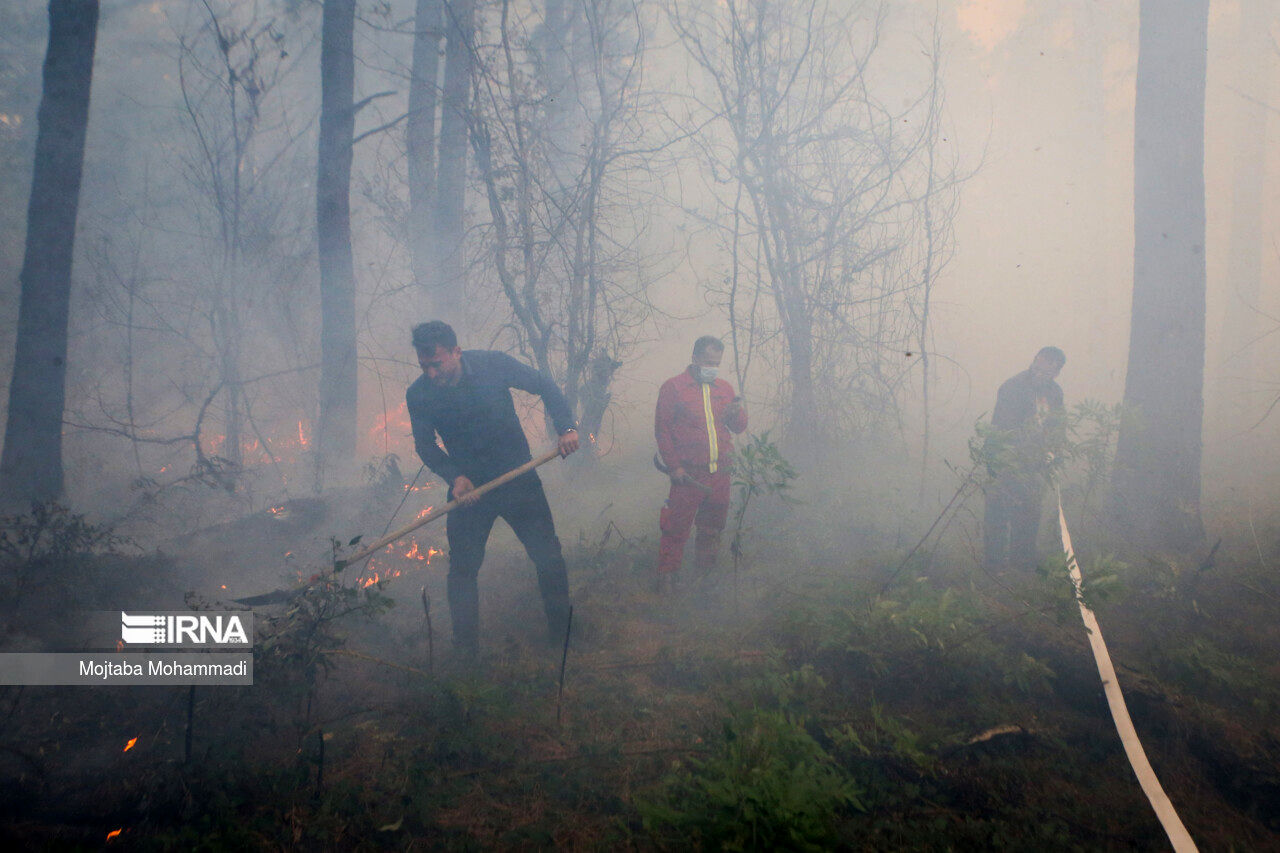 آتش به جان جنگل‌های مرزن‌آباد چالوس افتاد