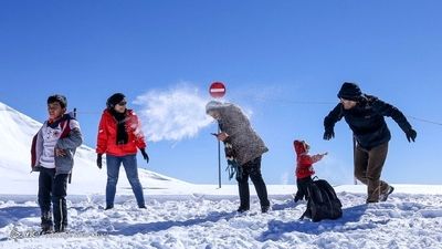 ببینید | بارش اولین برف زمستانی در شمال تهران