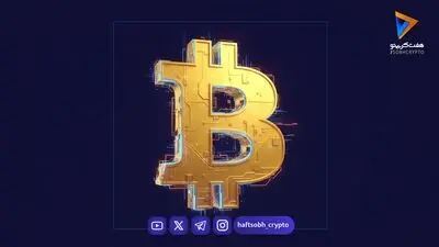 بازگشت بیت کوین به بالای ۸۰,۰۰۰ دلار پس از پیش‌بینی سقوط پیتر شیف