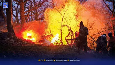 پشت‌صحنه مستند "مادرم بلوط"