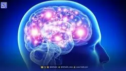 رایانه‌هایی که با سلول‌های مغز انسان کار می‌کنند