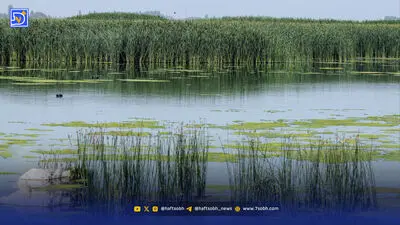 ثبت جهانی تالاب‌ها بدون نجات