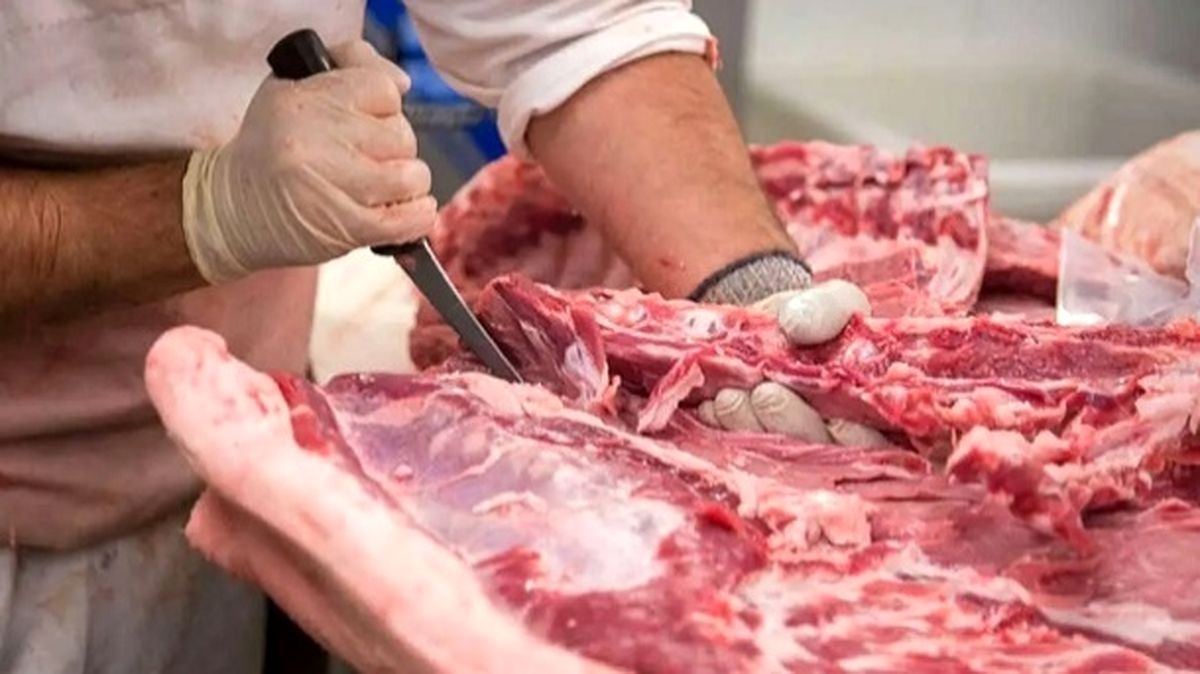 قیمت باورنکردنی گوشت در بازار – رشد چشمگیر واردات در سال ۱۴۰۳