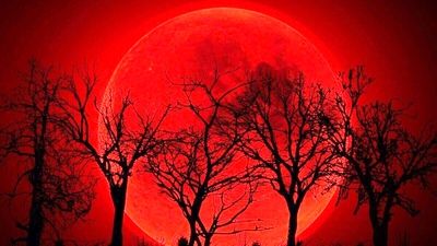 آسمان ایران میزبان ماه خونین؛ جزئیات زمان و نحوه مشاهده + ویدئو 
