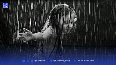 همه چیز از یک ساندویچ شروع شد