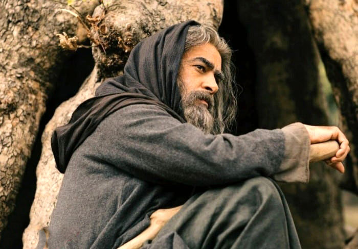 شهاب حسینی