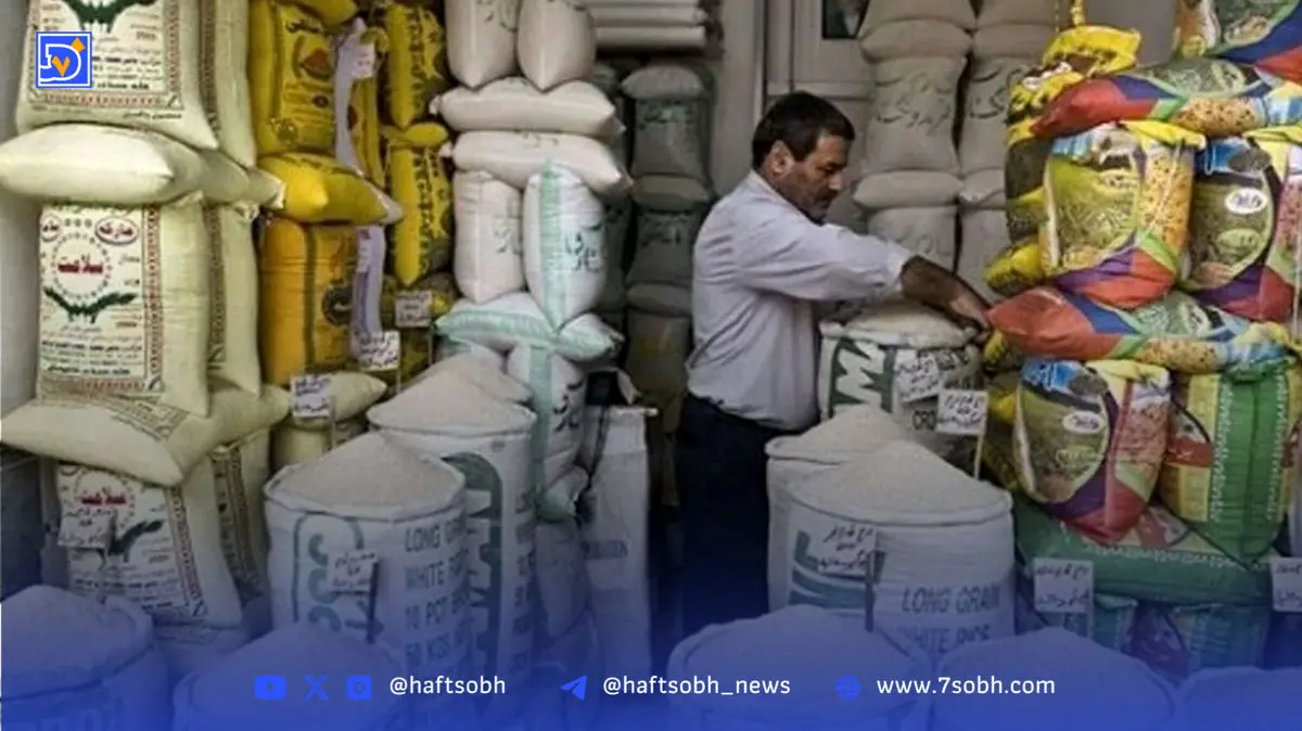 مقایسه قیمت برنج در یک دهه اخیر؛ قیمت برنج سر به فلک کشید!