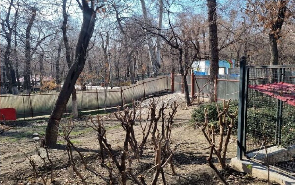 توضیحات چمران درباره مسجد بوستان قیطریه