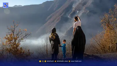 جنگل در آستانه آسفالت شدن