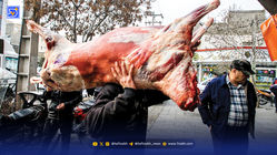 فوری! گوشت گوساله بدون استخوان با کوپن کیلویی ۴۸۰ تومان عرضه می شود