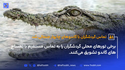 تماس گردشگران با گاندوهای چابهار جنجالی شد