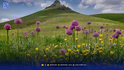 تکرار آتش‌سوزی در تالاب‌ کانی‌برازان