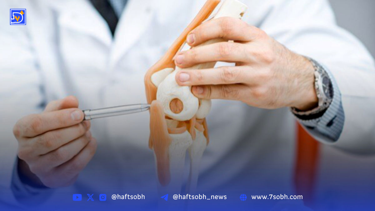 اگر استخوان‌هایتان شکننده‌اند، این ویتامین‌ها را جدی بگیرید