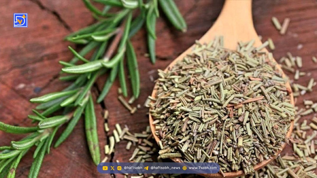 با این گیاه خوشبو، از فراموشی نجات پیدا کنید