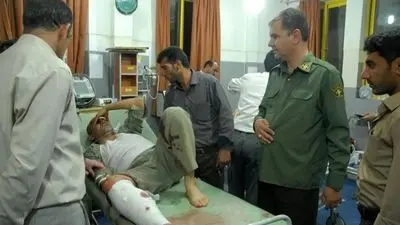 لحظه جالب بلعیدن ماهی توسط مرغ مارگردن | فیلم با سرعت ۱۶ برابر کند شده