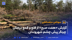 سونامی درخت‌کشی