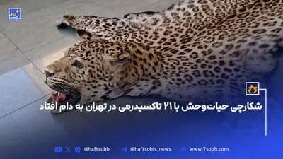 زخمی شدن و آسیب‌دیدگی 3 محیط‌بان کردستان در درگیری با شکارچیان غیرمجاز